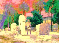 Kung Fu Cowboy with weapon